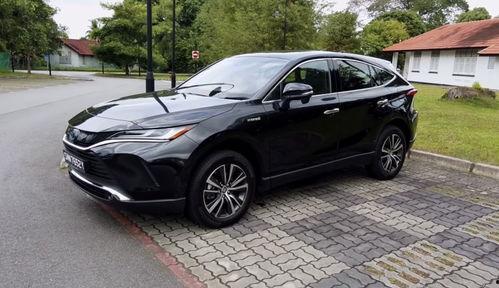 国产网,引领潮流，打造民族互联网新生态